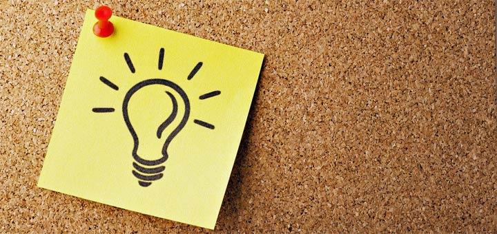 Tipps zur Pflege und Interaktion mit einer größeren Fangemeinde
